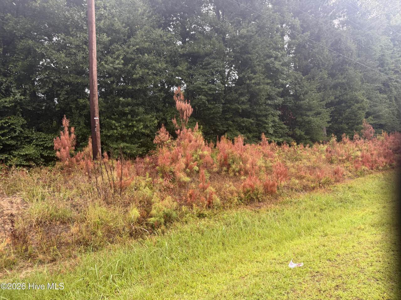 https://bt-photos.global.ssl.fastly.net/ncreg/1280_boomver_1_f35b7e5066c23ef821b74d635d0b1a4f-2.jpg