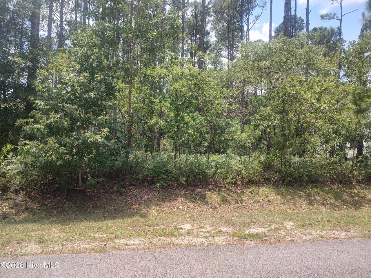 906 Bee Tree Court - Photo 1