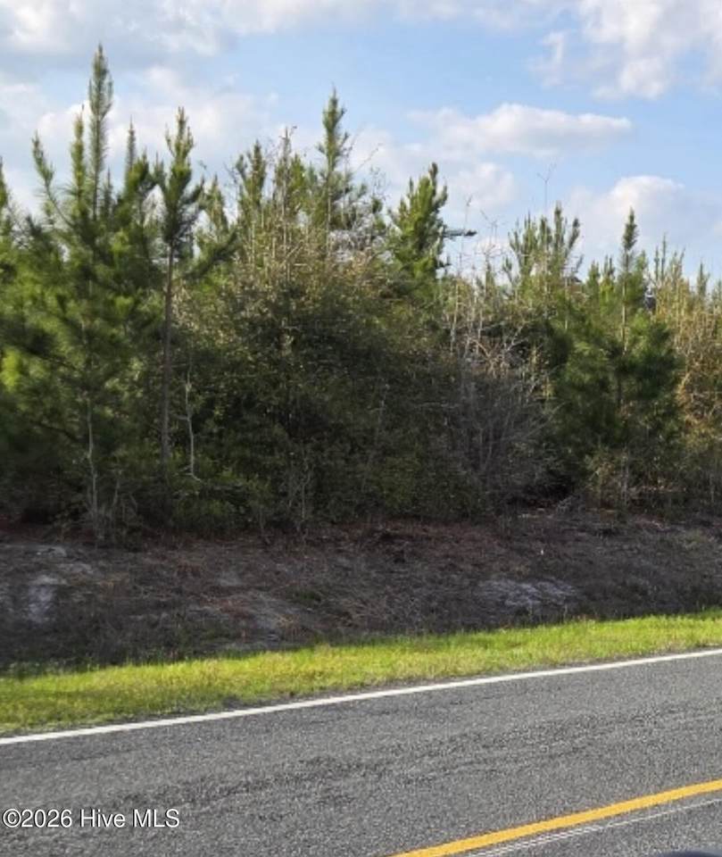 Near 731 Macedonia Church Road - Photo 1