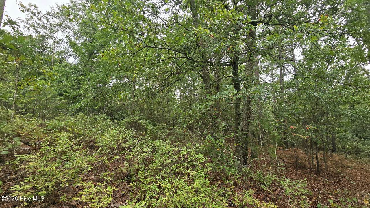 Lot 9 & 10 Cleora Murray Drive - Photo 1