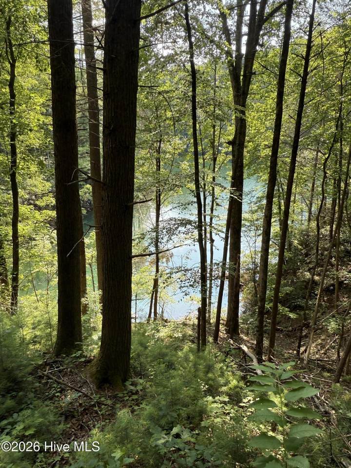 00 Berry Patch Road - Photo 1