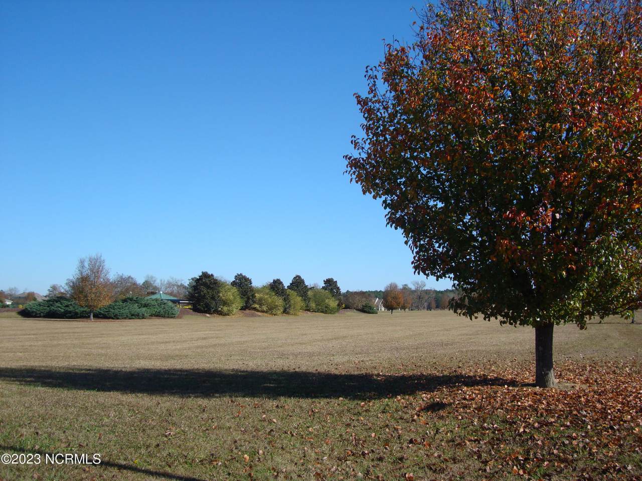 21 Meadow Lane - Photo 1