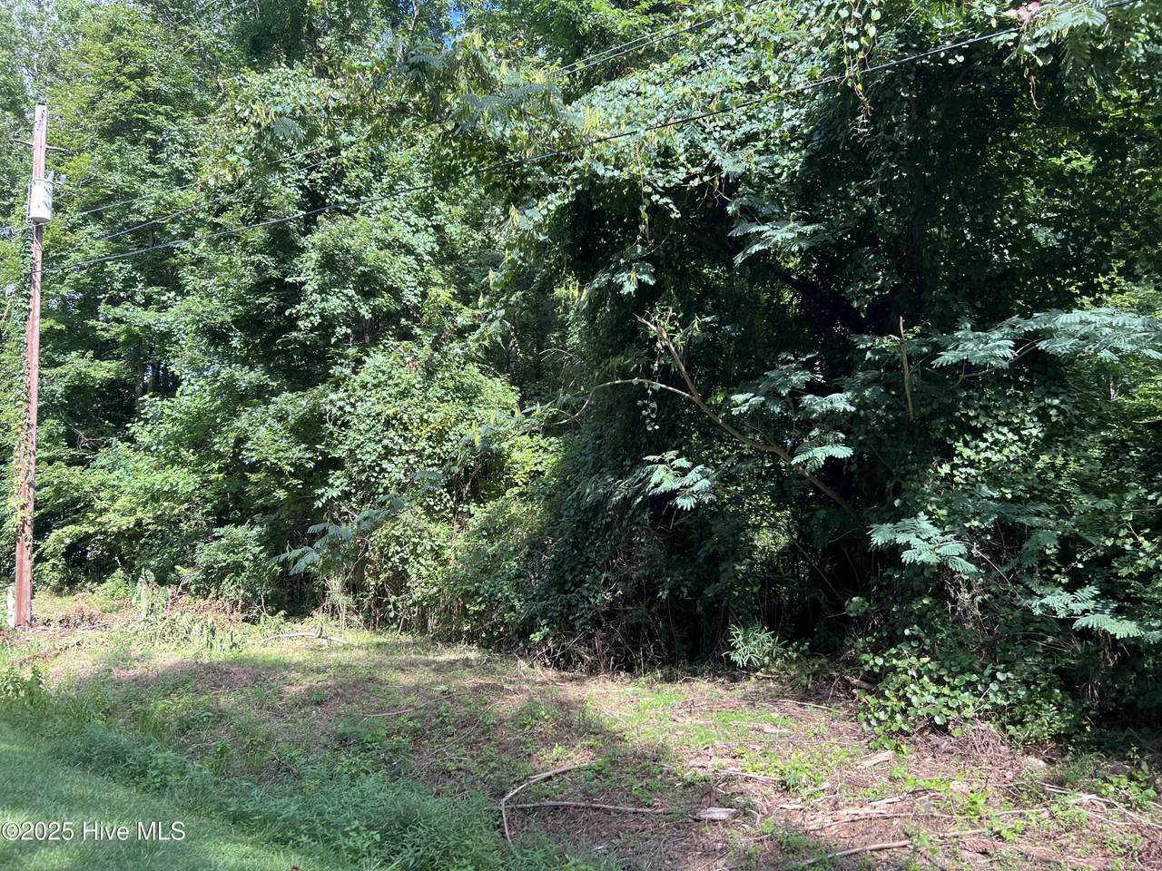 211 Colony Drive - Photo 1