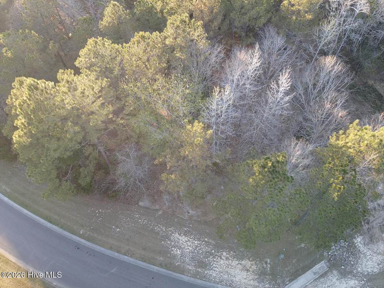 739 Cedarhurst Drive - Photo 1