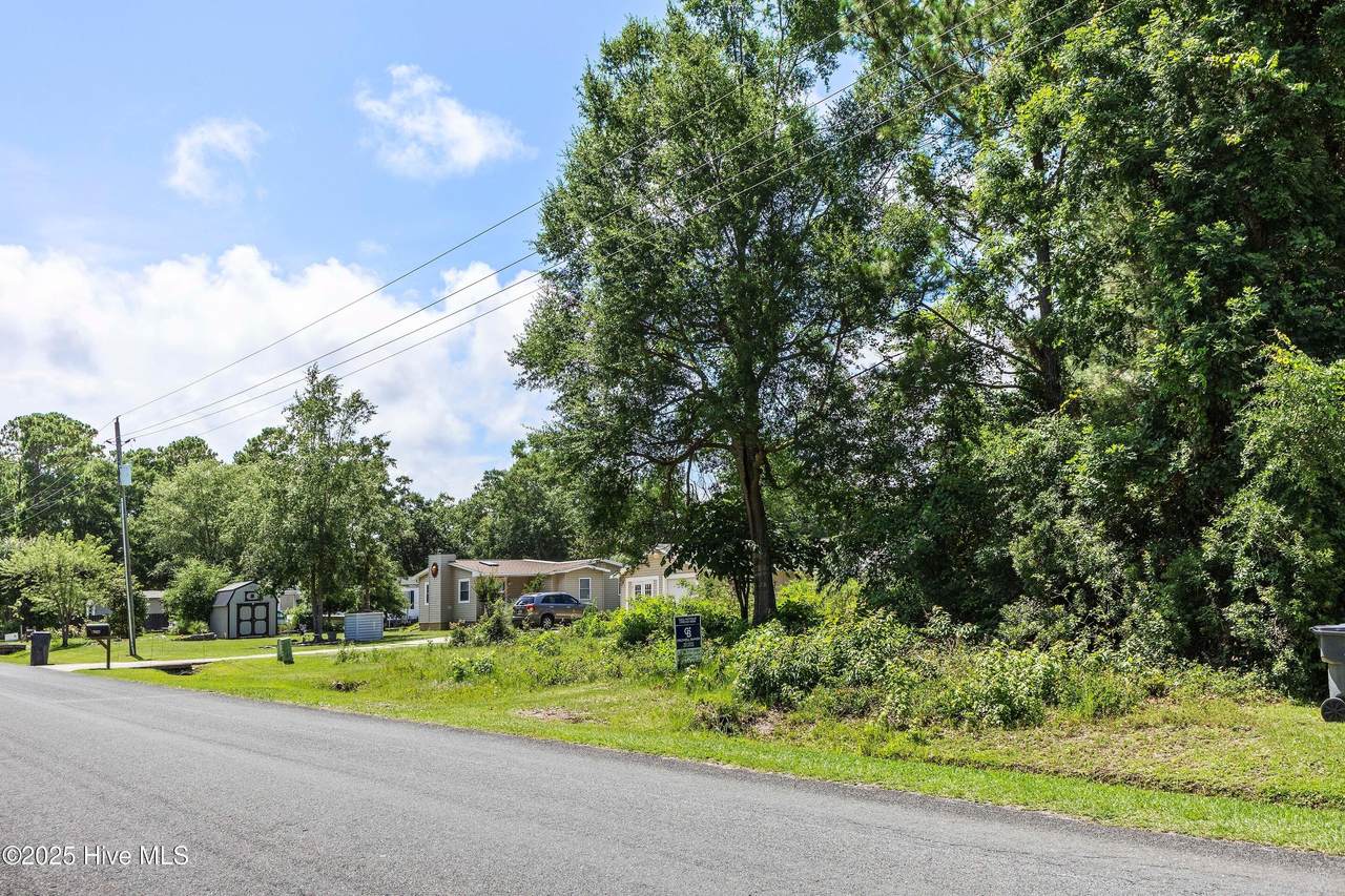 9208 Shady Forest Drive - Photo 1