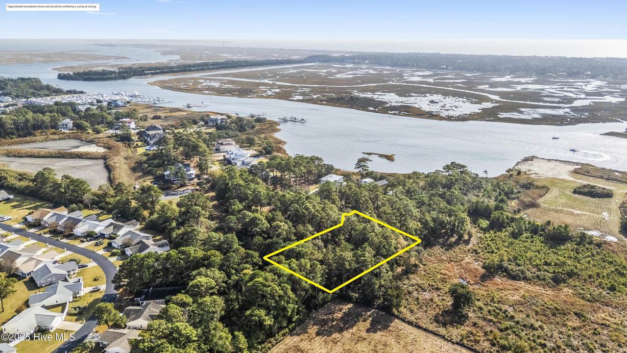 4002 Barnes Bluff Drive - Photo 1