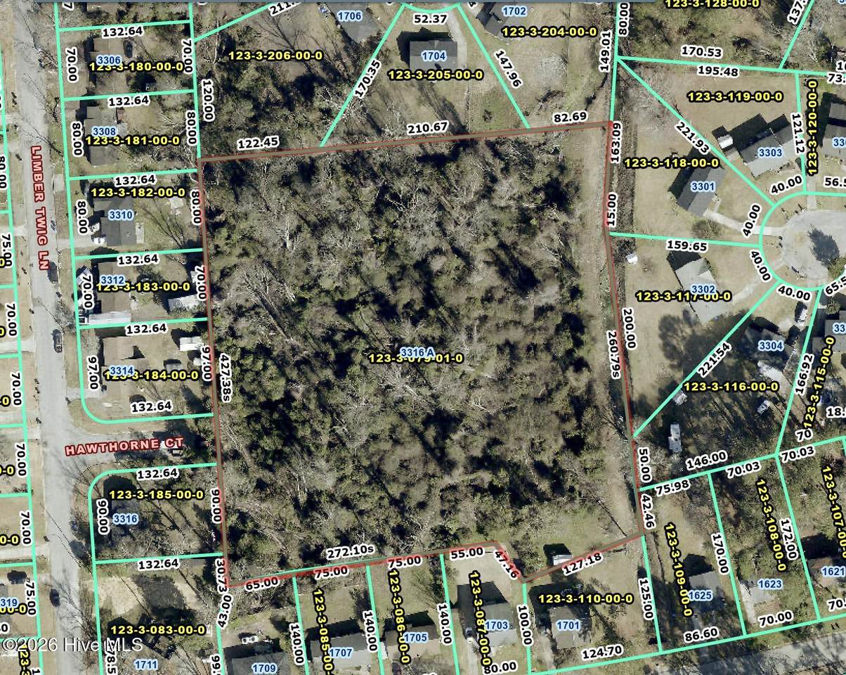 3316a Limber Twig Lane - Photo 1