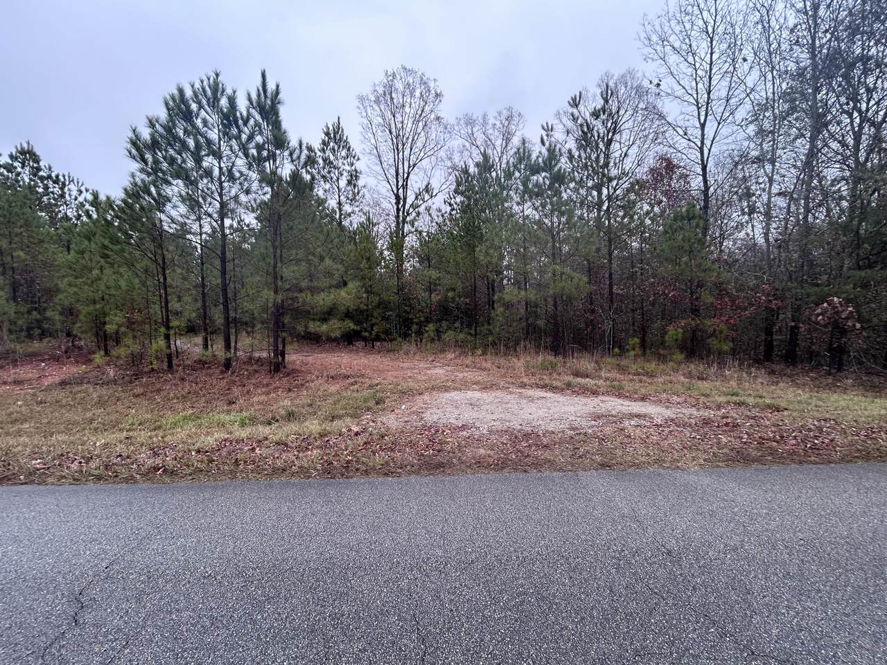 1956 Pineywoods Road - Photo 1