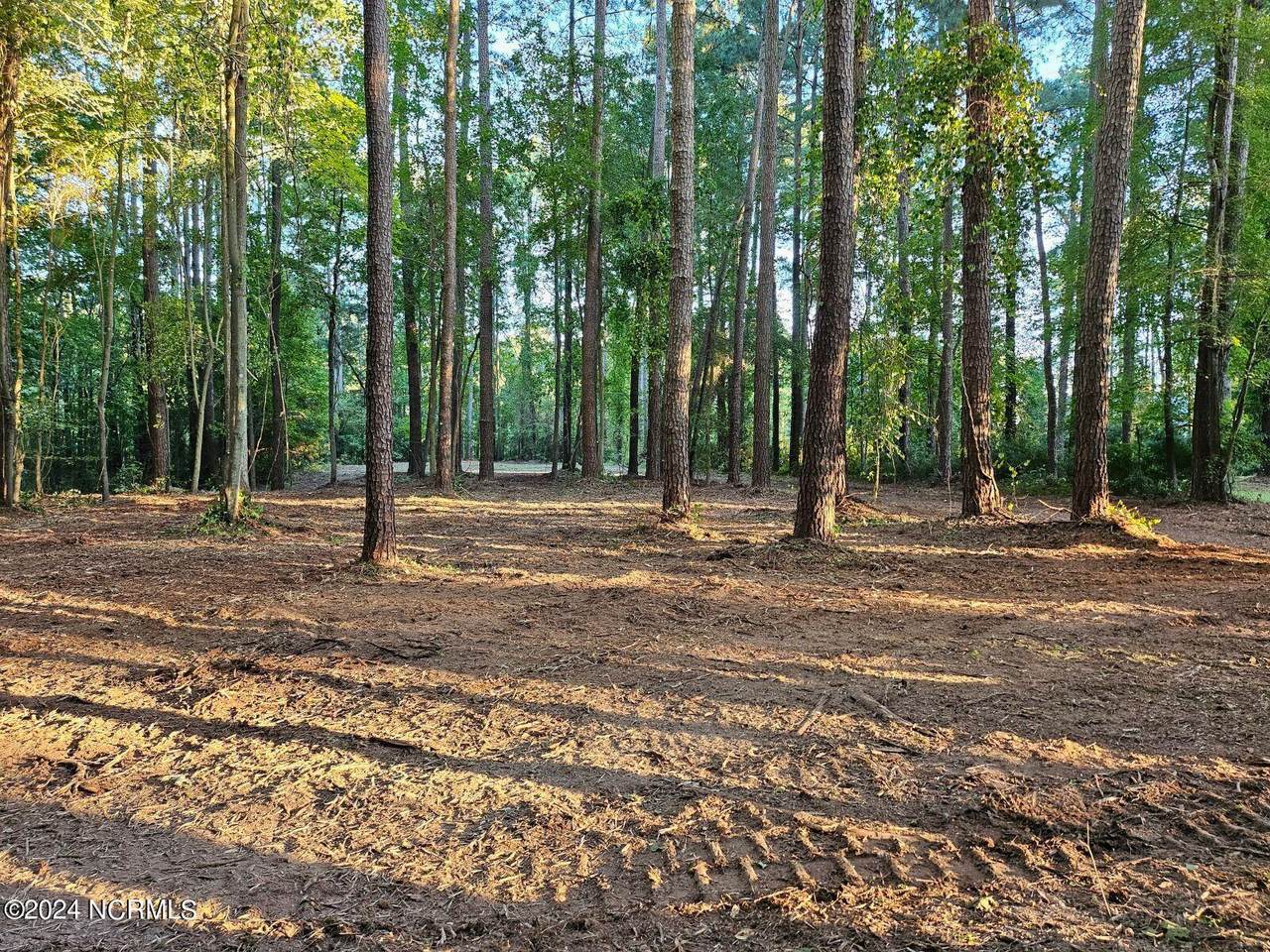 279 Mill Creek Lane - Photo 1