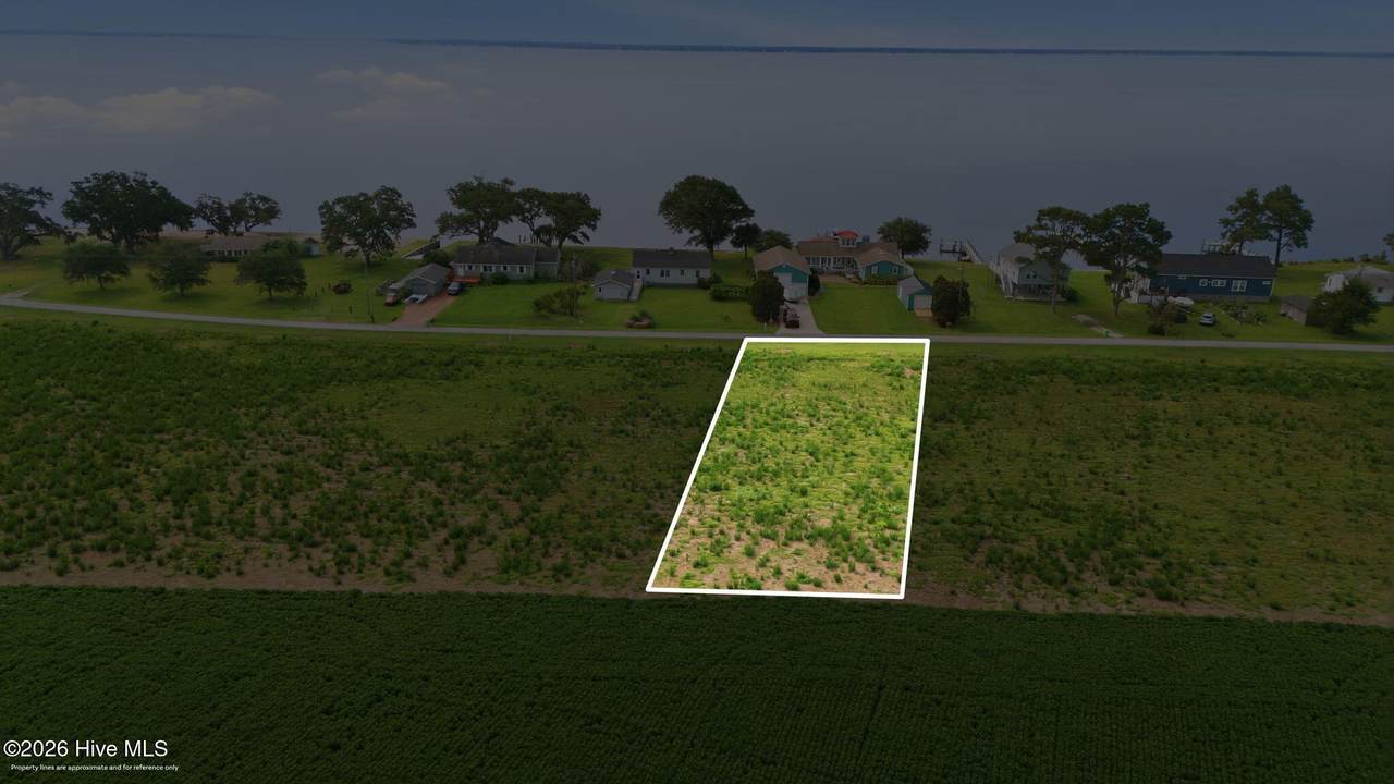 229 China Grove Road - Photo 1