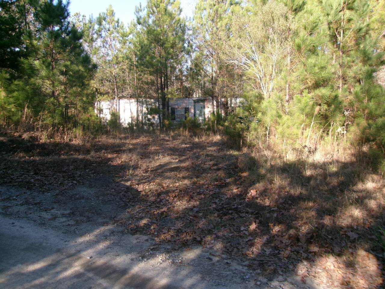 6291 Knox Drive - Photo 1