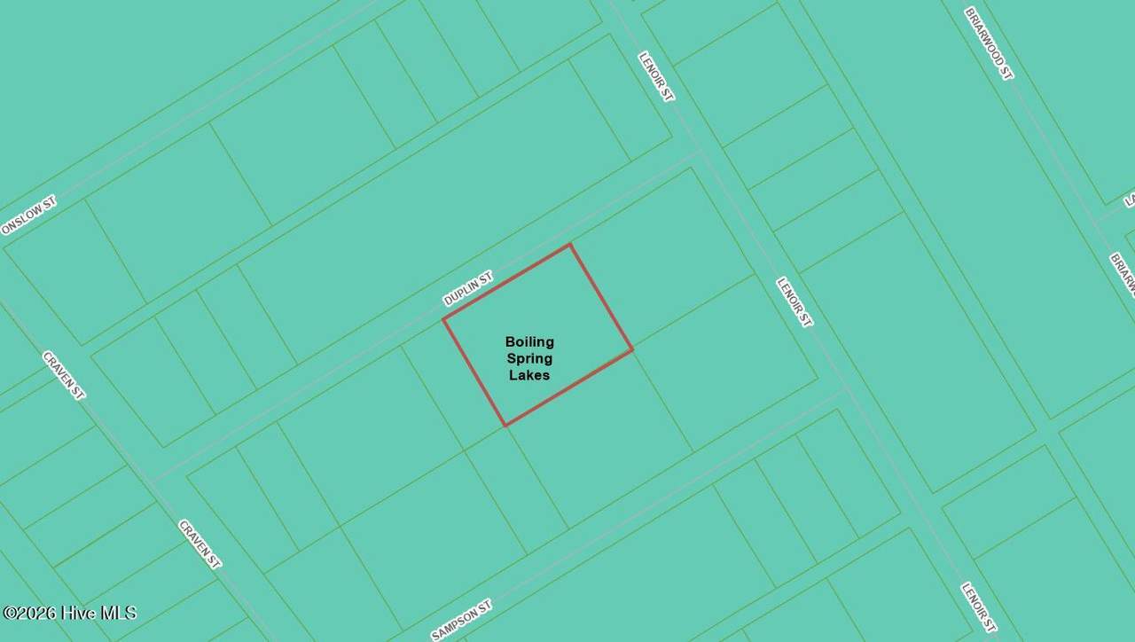 0 Duplin Road - Photo 1