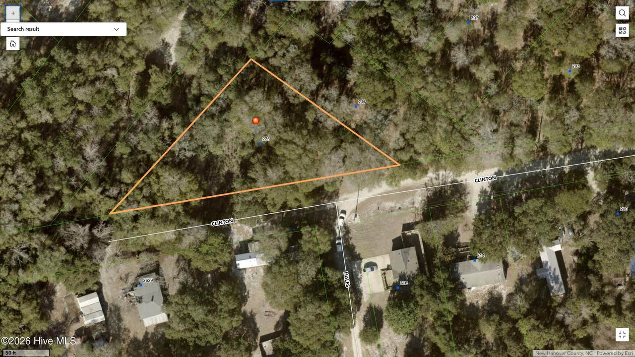 223 Clinton Street - Photo 1