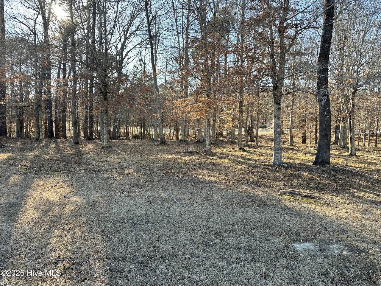 173 Roanoke Drive - Photo 1