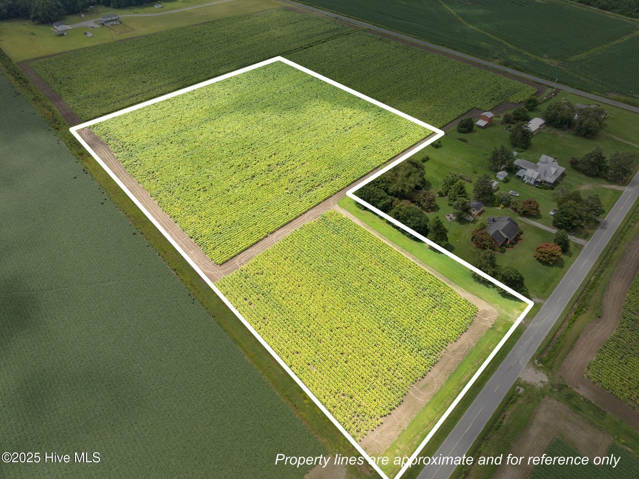 000 Kings Crossroads Road - Photo 1