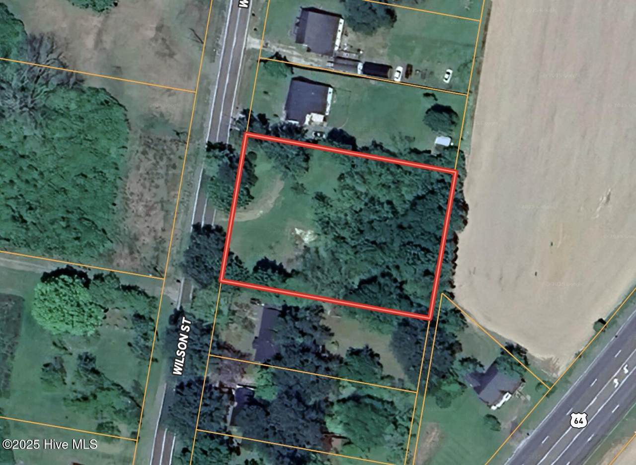 1222 Wilson St. Ext - Photo 1