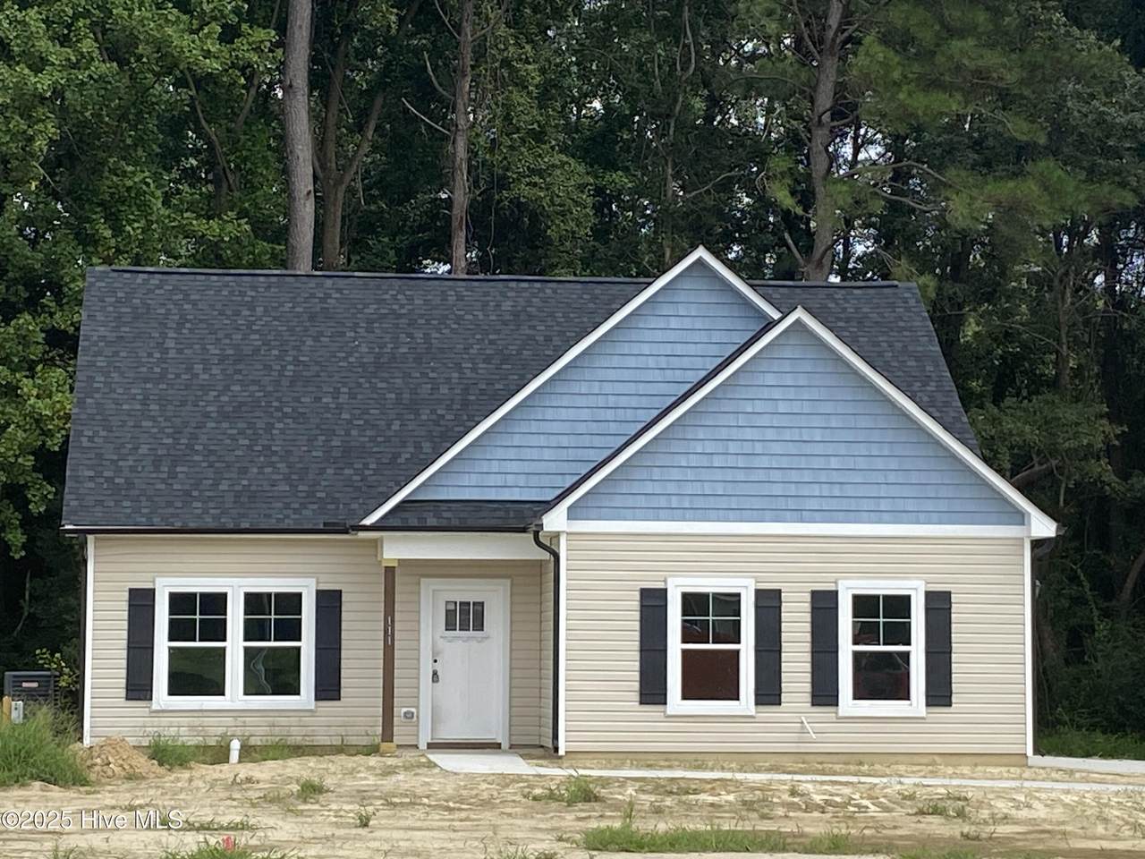 111 Chester Place - Photo 1