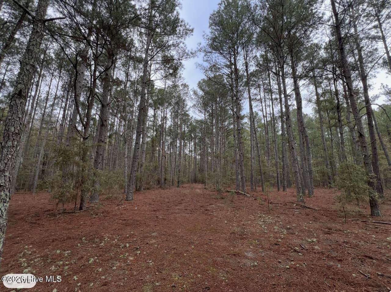 00 Garland Highway - Photo 1