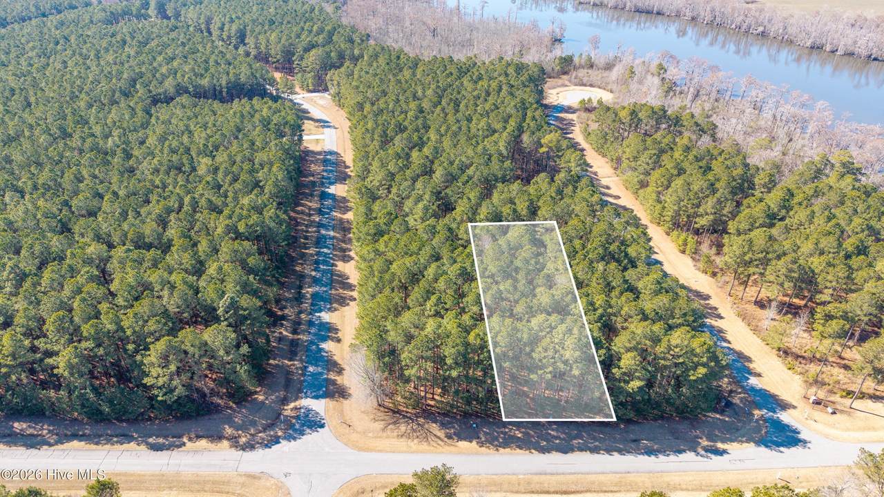 805 Batts Island Road - Photo 1