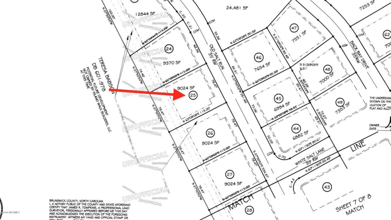 1646 Old Salt Run - Photo 1