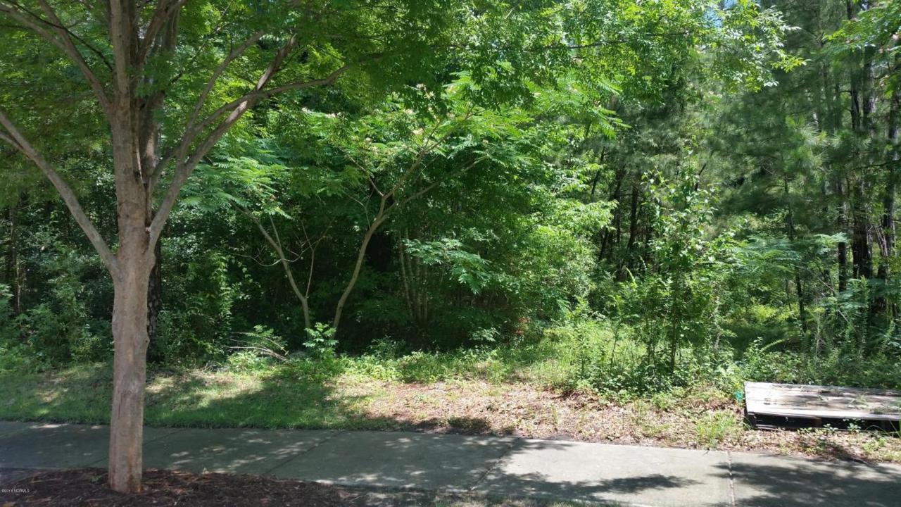 5327 Old Garden Road, Wilmington, NC 28403 (MLS #100015603) :: Century 21 Sweyer & Associates