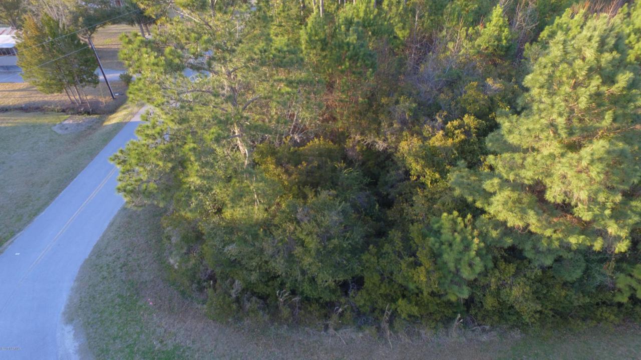 165 Goose Creek Loop Road - Photo 1