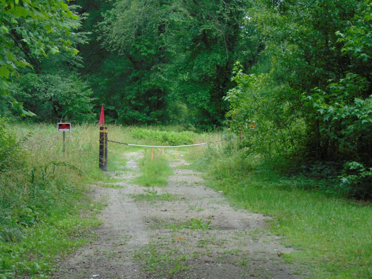 1190 Cow Pen Landing Road - Photo 1