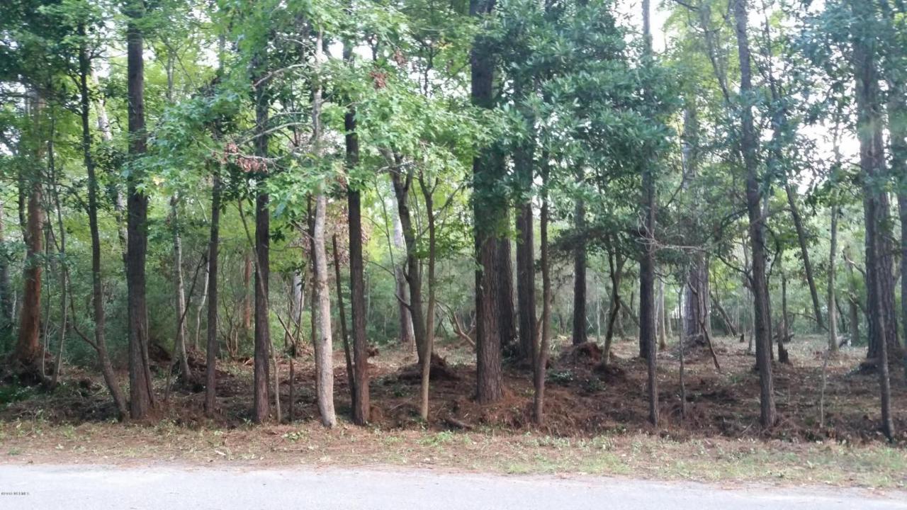 246 Weathersbee Drive, Hampstead, NC 28443 (MLS #100029169) :: Century 21 Sweyer & Associates