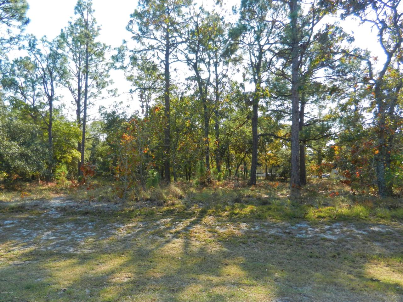 3087 Pine Hill Drive - Photo 1