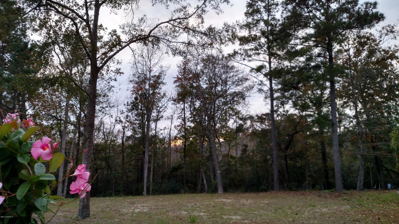1006 Cumbertree - Photo 1