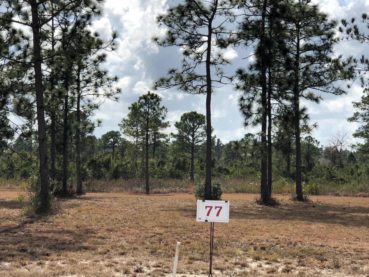 8643 Hammocks Cove Trail - Photo 1
