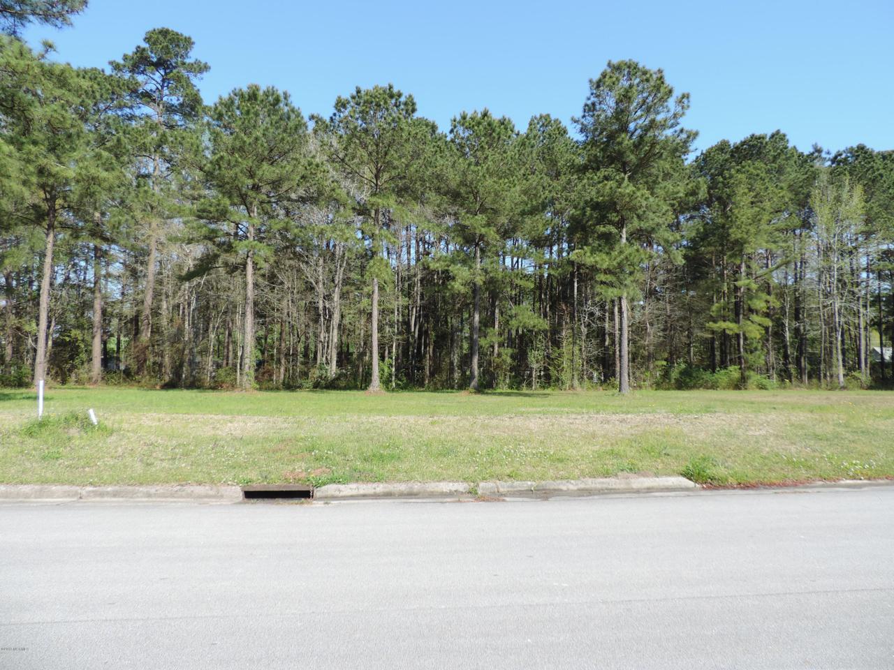 131 Grantham Place - Photo 1