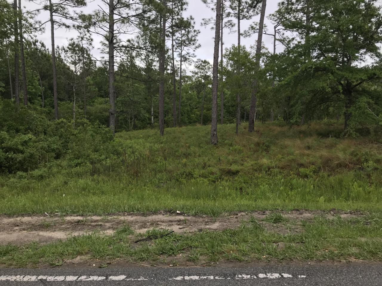 Lot 1 Boiling Spring Road - Photo 1
