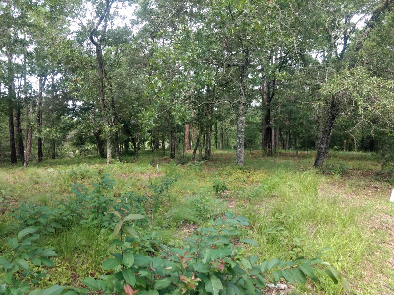 3057 River Hills Drive - Photo 1