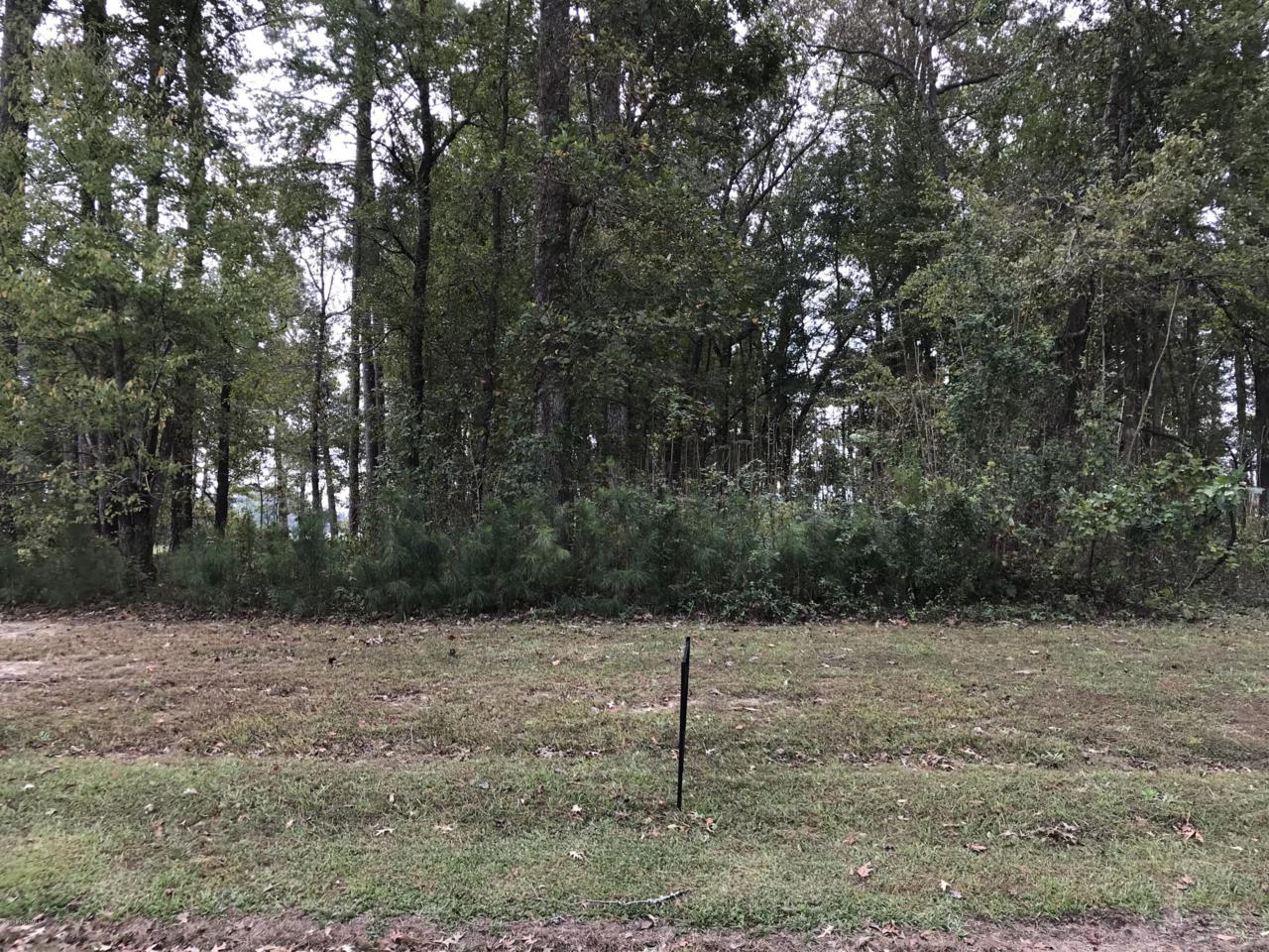 Lot 83 Winfield Lane - Photo 1
