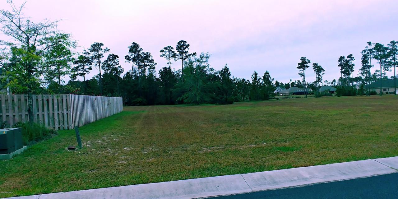 1156 Turnata Drive - Photo 1