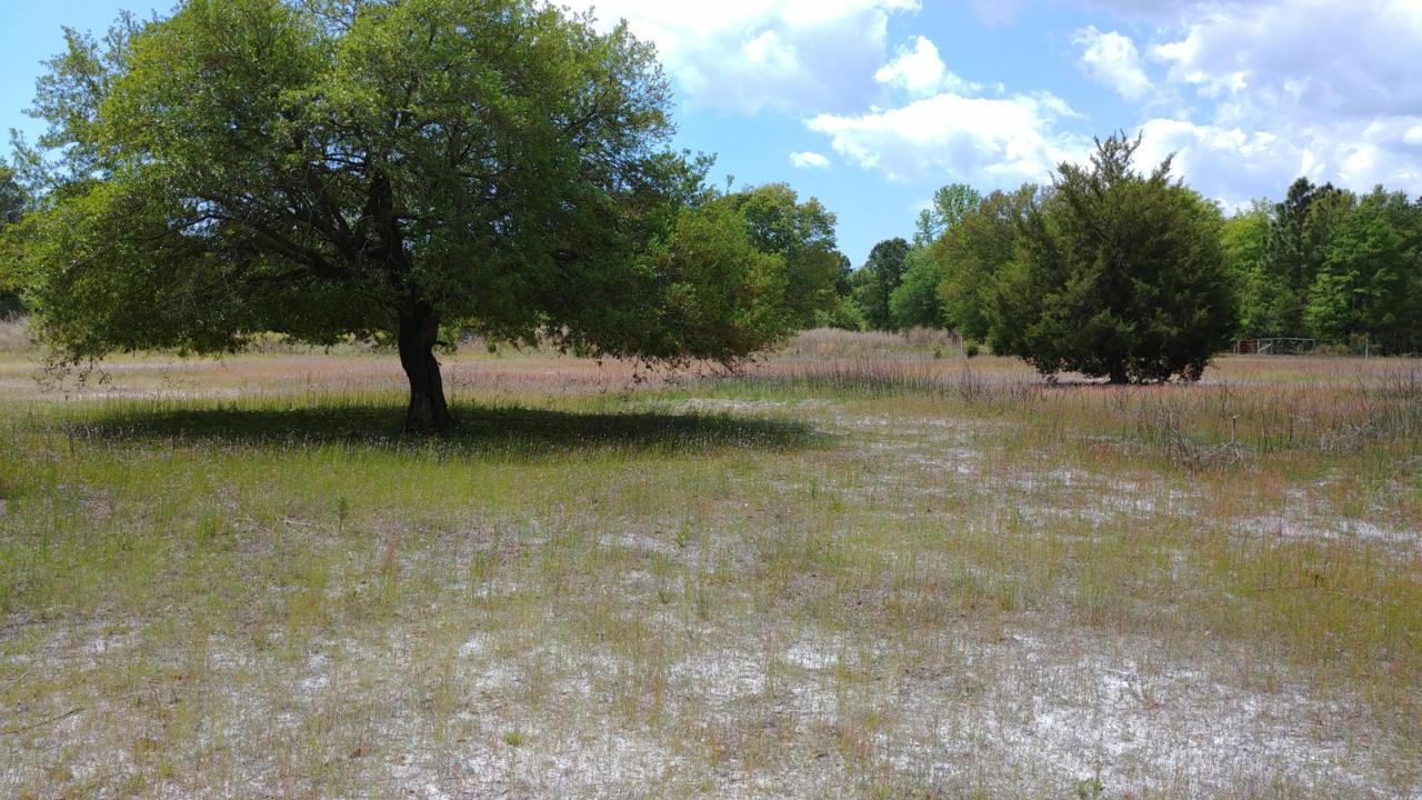 931 Old Whitfield Road - Photo 1