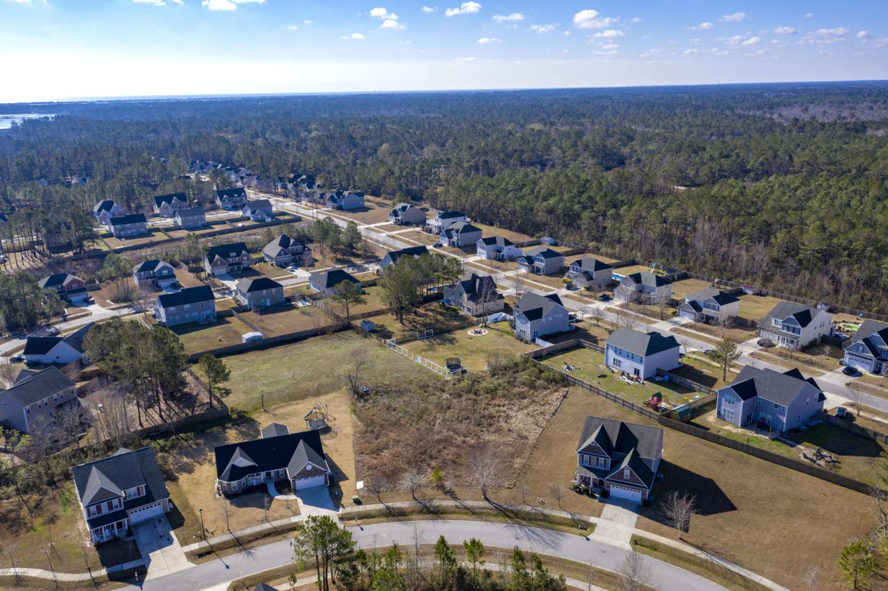 111 Bunchberry Court - Photo 1