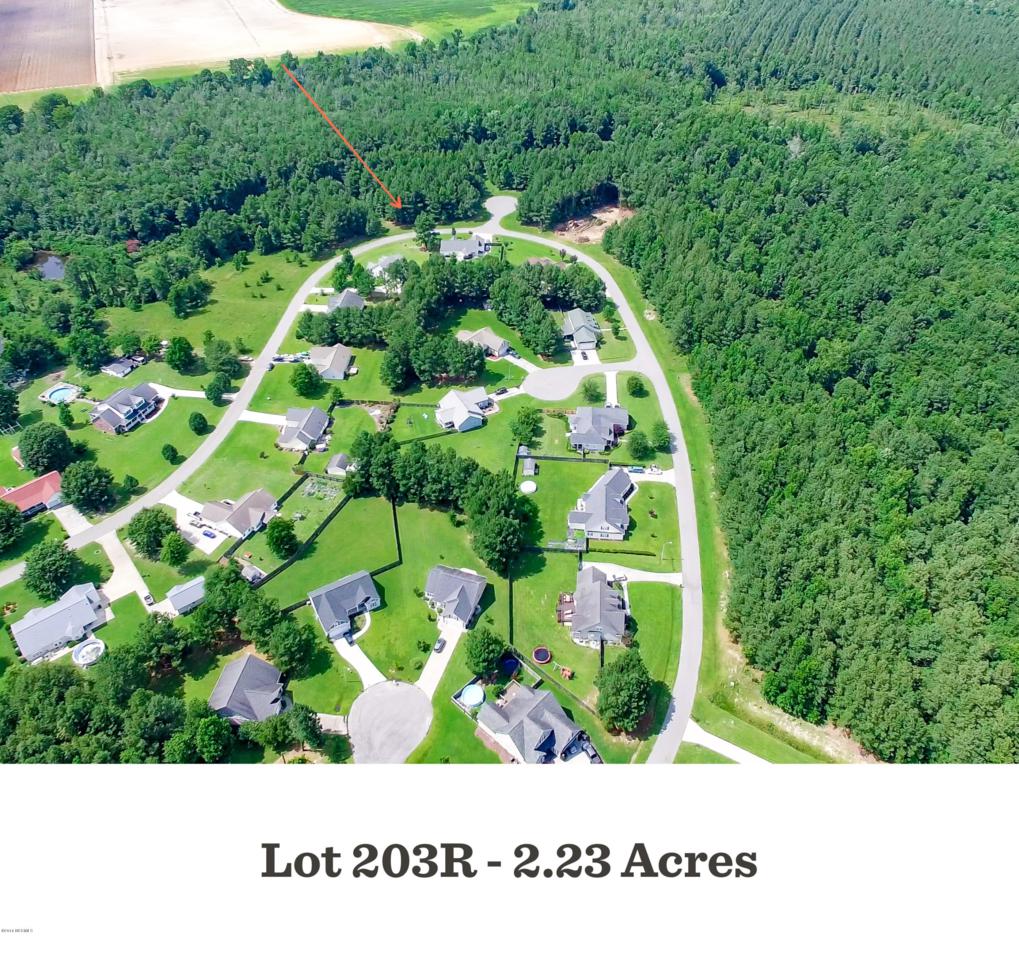 203r Winding Creek Road - Photo 1