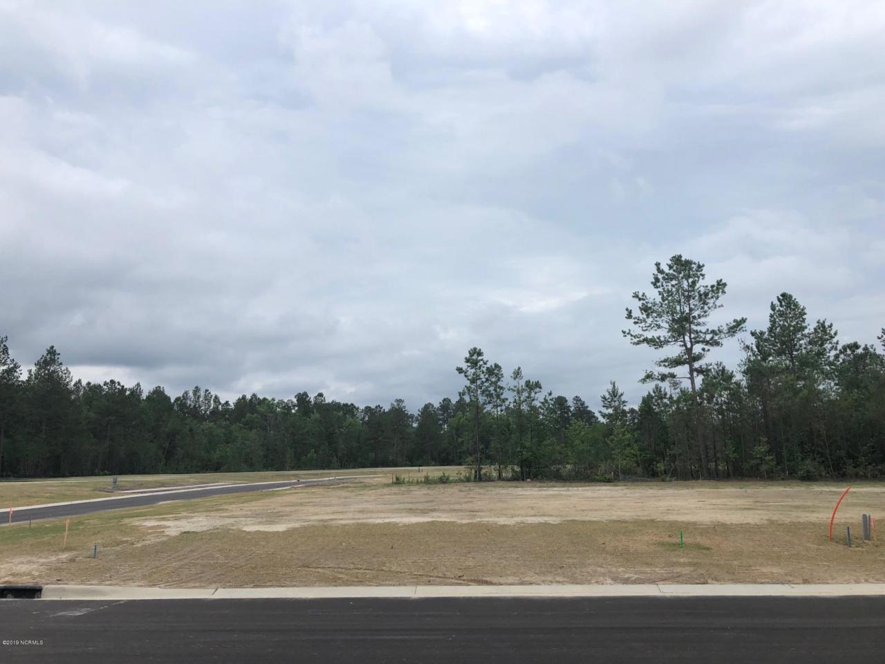 6137 River Breeze Way - Photo 1