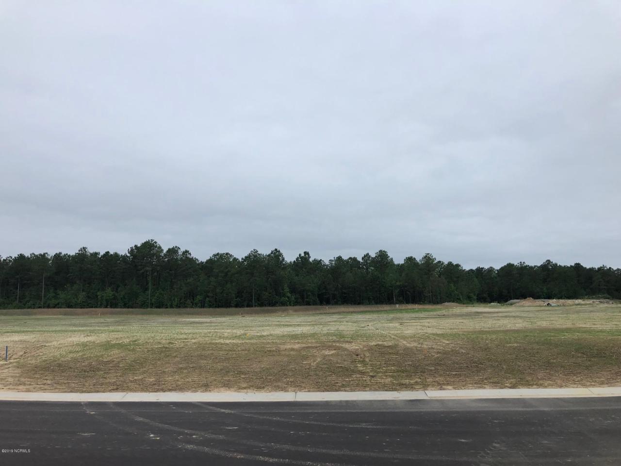 1816 Angel Pond Lane - Photo 1