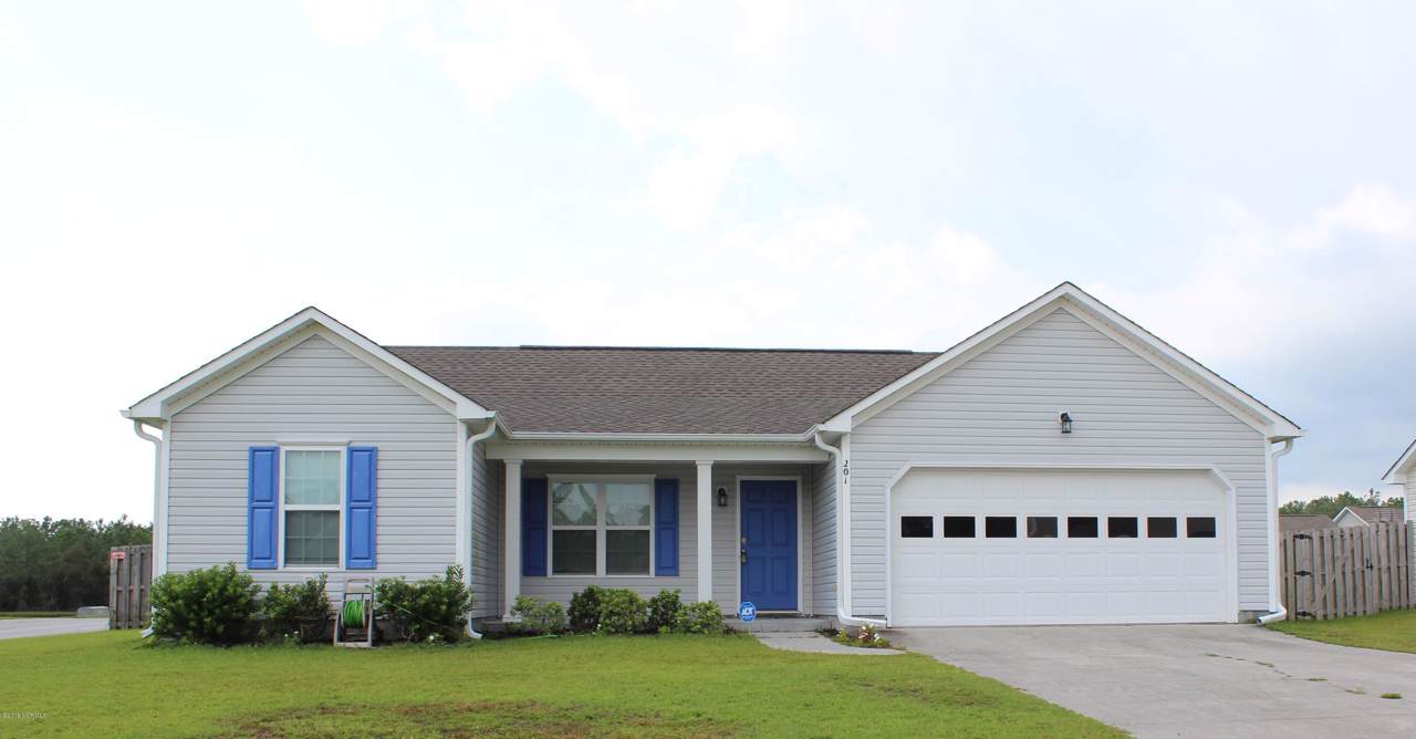 201 Red Carnation Drive - Photo 1
