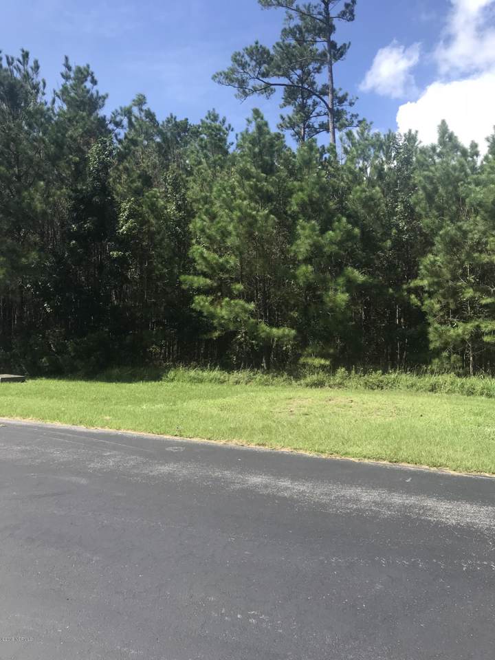 313 Garbacon Drive - Photo 1