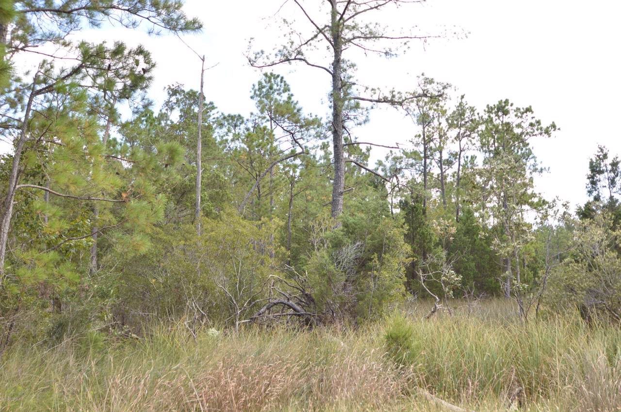 Tract 4 Pasture Point - Photo 1