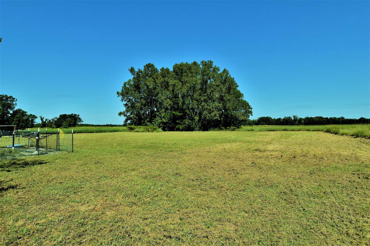 799 Plantation Road - Photo 1