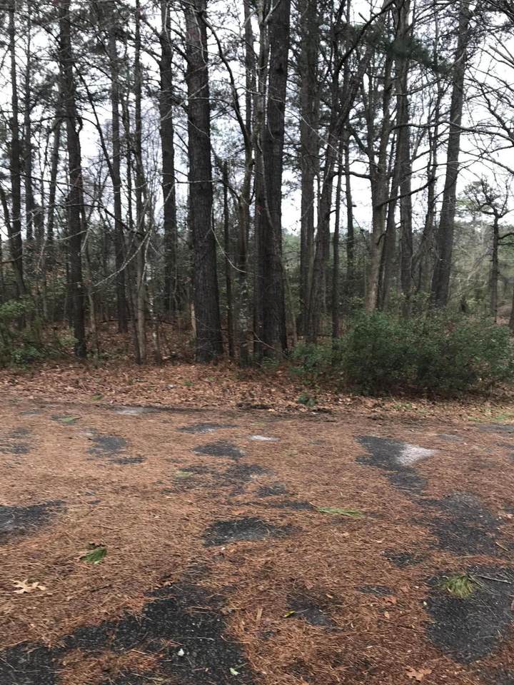 5660 Gail Drive - Photo 1