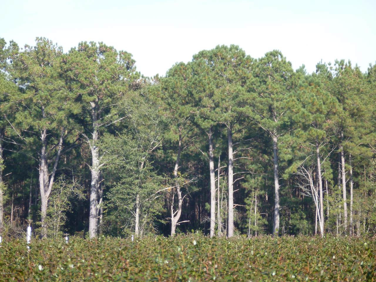 48 Acre Off Bull Street - Photo 1 48 Acre Off Bull Street - Photo 1