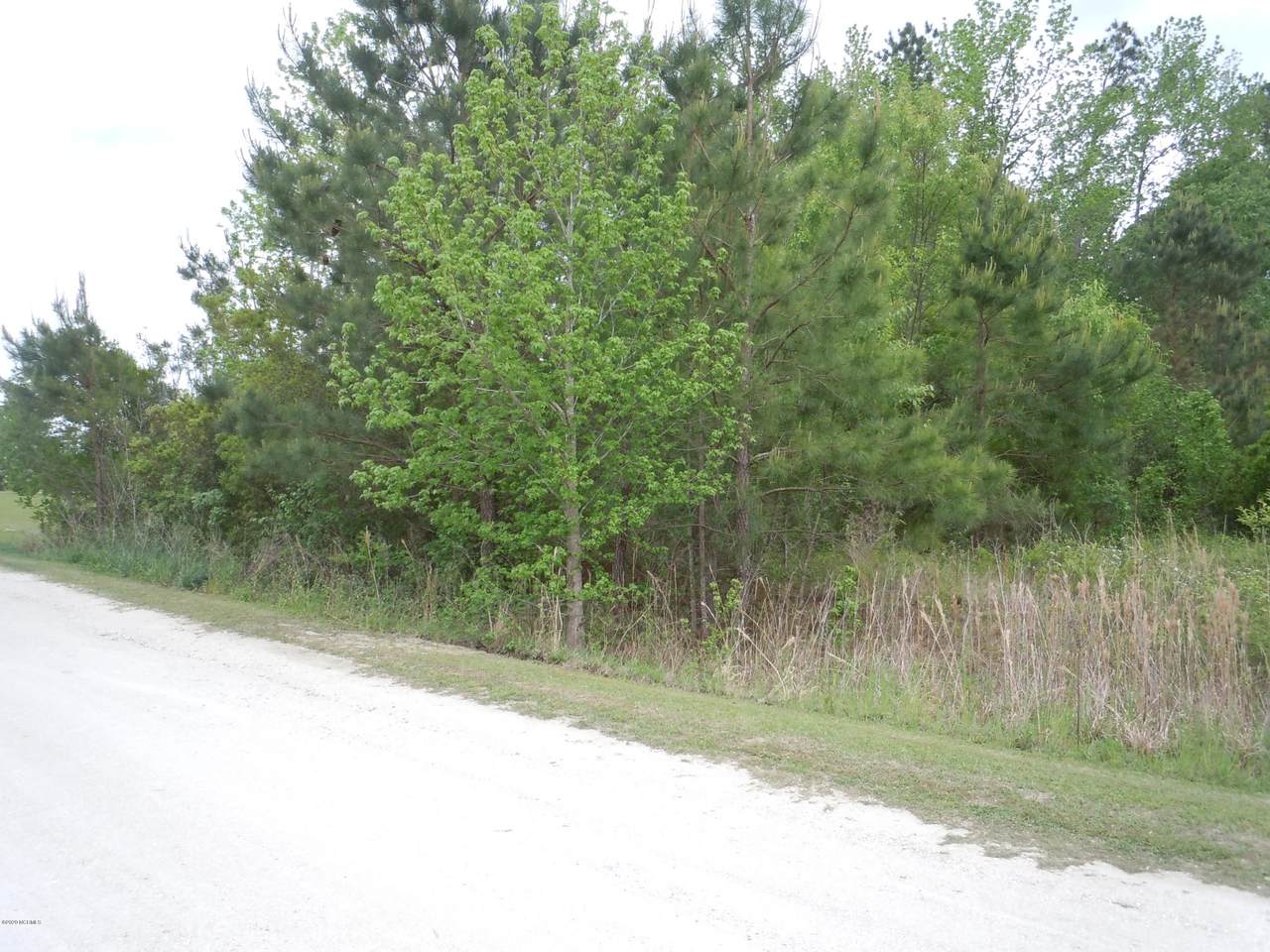 121 Mollie Brook Drive - Photo 1