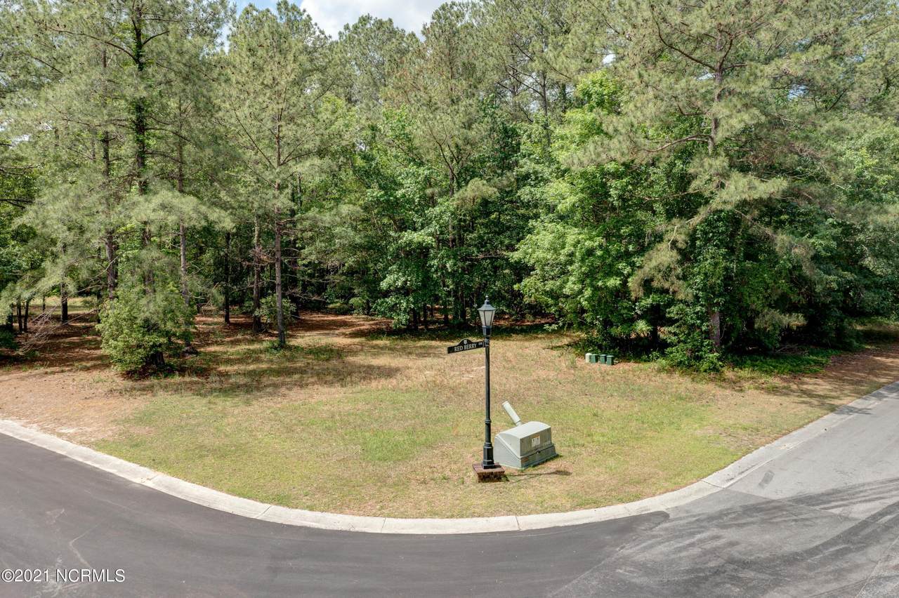 150 Red Berry Drive - Photo 1