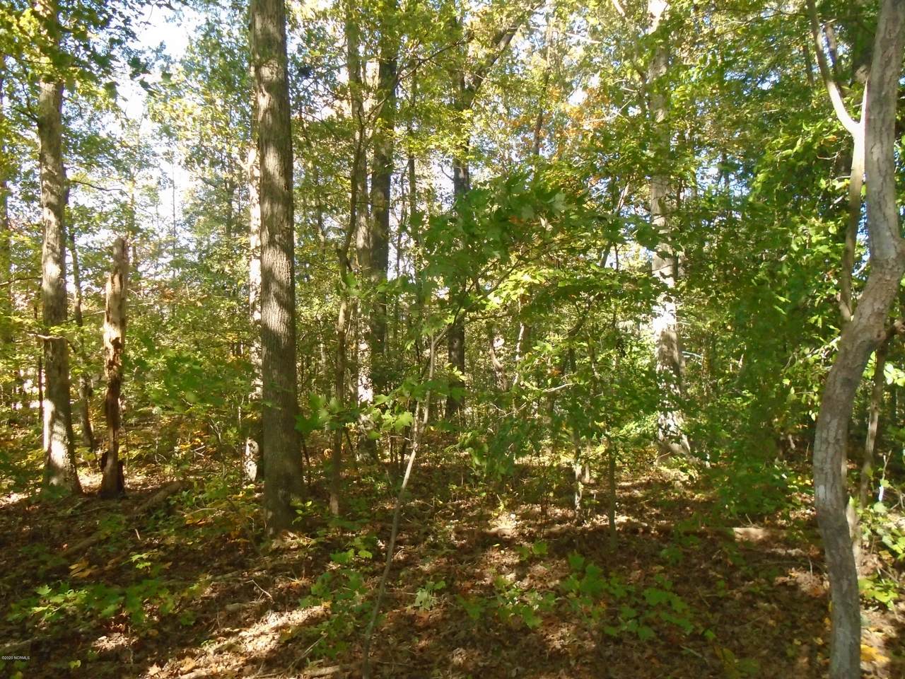 Tbd Cornwallis Drive - Photo 1